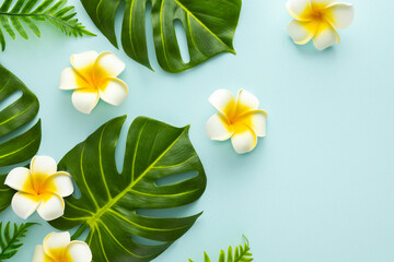 Summer background with tropical frangipani flowers and green tropical palm leaves on light...