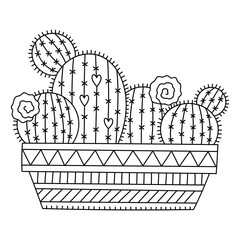 Rounded cactuses with flowers in big ornate pot. Desert plants in home garden. Coloring page for kids and adults. Cartoon vector illustration. Black and white colors. Outlined artwork. Isolated 