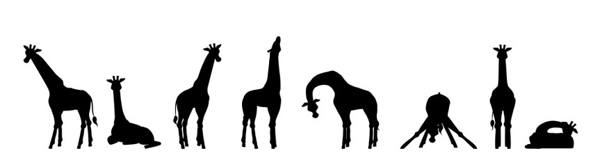 Set of giraffe silhouettes in different poses flat style, vector illustration