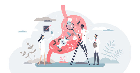 Gastroenterology as digestive system disorder diagnosis tiny person concept, transparent background. Stomach doctor examination and checking for disorders illustration.