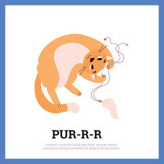 Squared banner with funny playing cat flat style, vector illustration