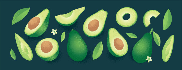 Avocado set. Vector illustration. Whole and halved avocado with leaves isolated on black background. Drawing in abstract style with noise and grain texture.