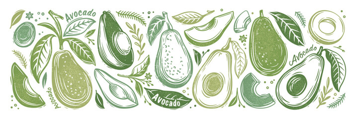 Avocado set. Stamp printing. Whole avocado, halves of avocado and leaves. Hand drawn botanical illustration in vintage style. Graphic fruits isolated on a white background. Wood block print elements.