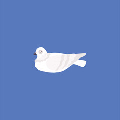 Cute white sleeping pigeon flat style, vector illustration