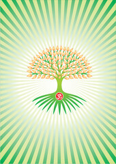 The tree of life with the sign om, aum, ohm in the center. Symbol of ecology, life, growth and development. Against the background of diverging rays. Vector graphics.