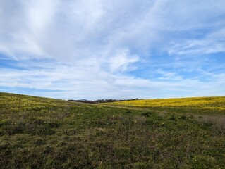 Cowell-Purisima Trail Head farmland, farm field landscape, wildflower farm field, Half Moon Bay coastal farm field, farmland meets the Pacific Ocean