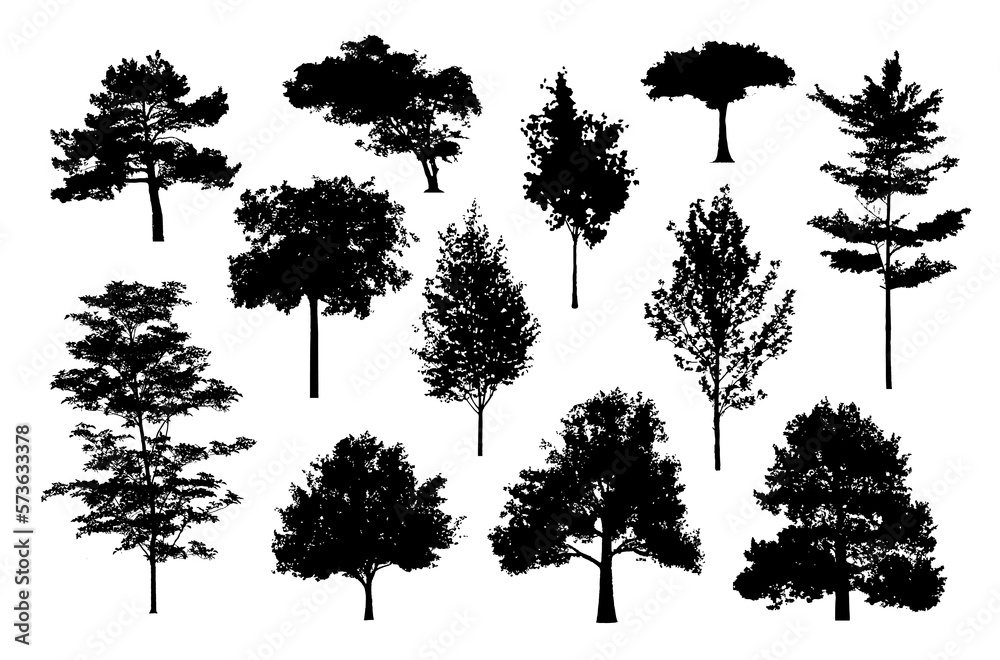 Poster silhouette tree line drawing, Side view, set of graphics trees elements outline symbol for architecture and landscape design drawing. Vector illustration in stroke fill in white. Tropical, street tree