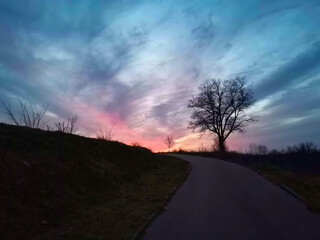 Naklejka na ściany i meble Sunset over the road, colorful sky, dark tree, winter, landscape.