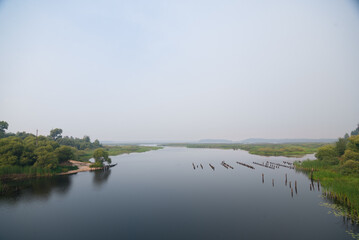 Mist over the river in summer
