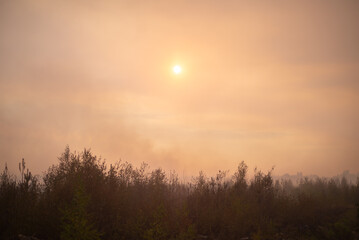 Fototapeta na wymiar Red sun over smoking forest