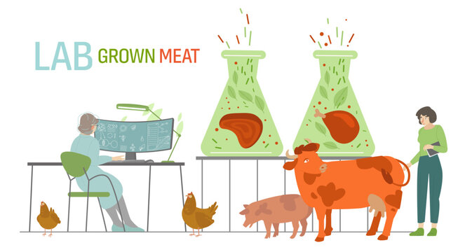 Lab grown meat. Horizontal image. Vector illustration