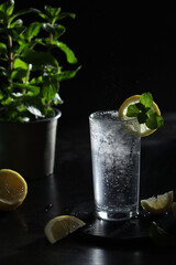 A glass with sparkling water with lemon