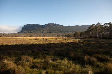 Morning mist Mount Oakleigh, The Overland Track, Tasmania, Australia.