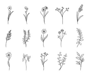 hand drawn flower set, doodle flowers, plants, botanical set, vector illustration