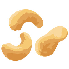 カシューナッツのイラスト素材　ベクター