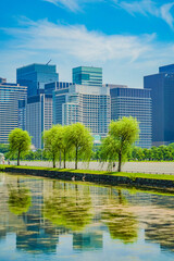 Obraz premium 丸の内の高層ビル群