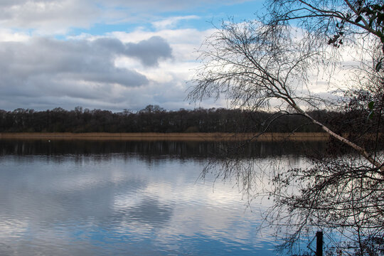 Rollesby Broad, Norfolk, on a cold winter's day. Part of the Broads National Park, UK