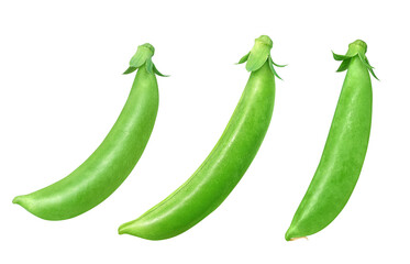 スナップエンドウのイラスト リアル