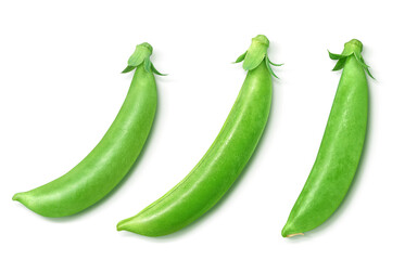 スナップエンドウ スナックエンドウ イラスト リアル