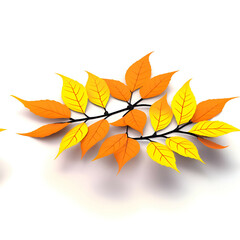 autumn leaves isolated on white - 