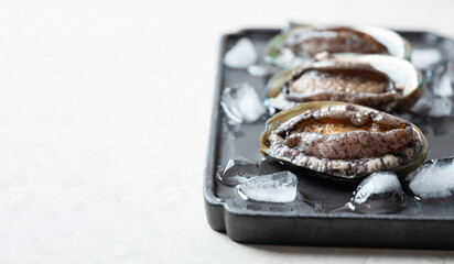 Fresh abalone and ice on plate