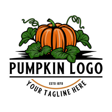 pumpkin logo design. pumpkin fruit illustration, healthy vegetable fruit, suitable for organic vegetable label, pumpkin farmer etc