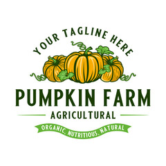 pumpkin vector logo design. pumpkin fruit illustration, perfect organic vegetable for pumpkin farm