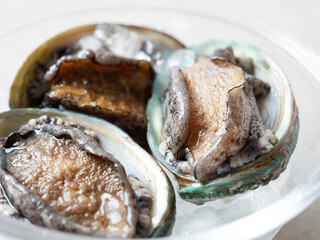 Fresh abalone and ice on plate	