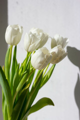 A bouquet of white tulips on the windowsill