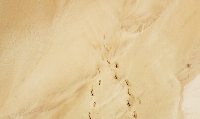 Yellow sand background on the beach. Empty ocean shore texture