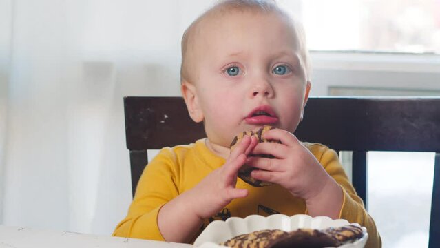 Cute cheerful baby boy eating cookies dinner table home. Little boy enjoying sweet food playing and laughing while looking at the camera.adorable baby boy eating cookies sitting in highchair isolated 