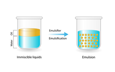 Emulsion, a mixture of two immiscible liquids (oil and water) in beakers, Emulsion oil in water, Immiscible liquids. Emulsification, emulsifier. isolated on white background. Vector illustration. - obrazy, fototapety, plakaty