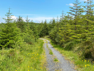 Cavan Buren Nature park
