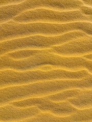 sand texture as a background. yellow sand for designers