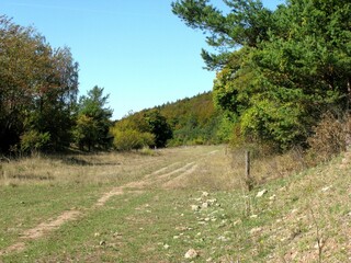 nature is back on the old highway between Eisenach and Waltershausen Thuringia, Germany