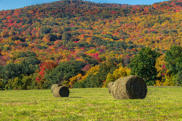 hay bales in the field during autumn © Joshua