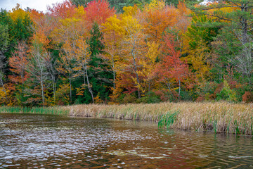 autumn on the lake
