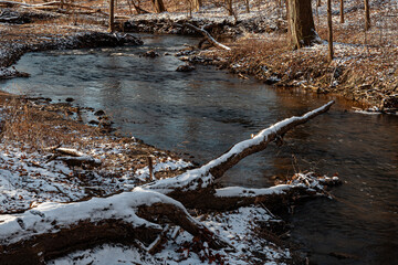 690-31 Hammel Creek Winter Flow