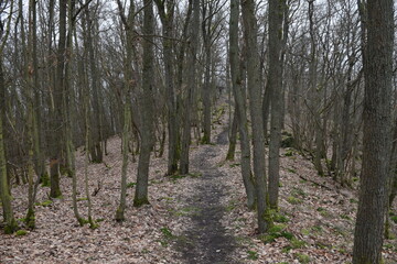 hiking trail to the Goethe point; Germany; Rhineland-Palatinate