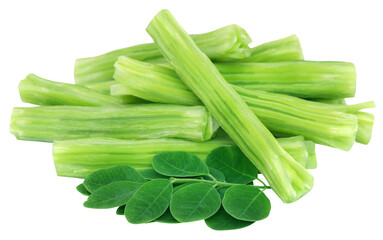 Edible moringa oleifera with green leaves