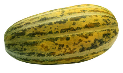 Fresh Mushkmelon