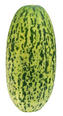 Fresh Mushkmelon