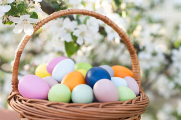 Fototapeta na wymiar painted Easter eggs in basket on grass. Traditional decoration in sun light