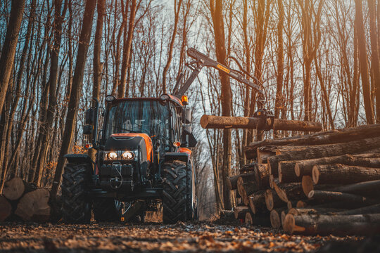 Forwarder tractor for wood transport. Tractor with trailer loaded with logs. Forestry tractor or forestry tractor for harvesting wood in the forest. Forest industry.