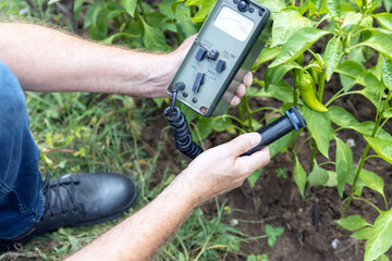 Measurement the radioactivity concentration levels in vegetables and soil