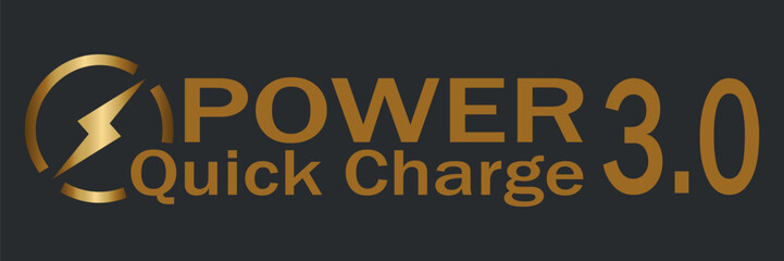 Fast electric charging lightning logo. Quick electrical power charger brand identity symbol. Express energy recharge company insignia. Vector grafic.