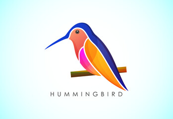 Modern colorful Hummingbird logo design template vector illustration