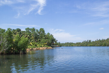 Beautiful view of Lake Koggala, Sri Lanka, on a sunny, clear day