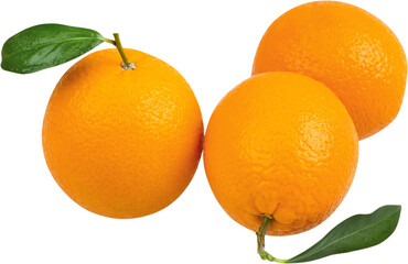 Fresh sweet orange fruit clipping path with leaves