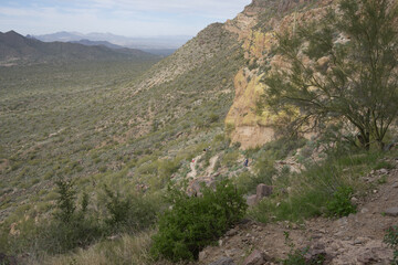 The wind cave trail located in the Usery Mountain Regional park near Mesa Arizona is a quintessential desert hiking trail.
